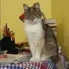 Отзыв от София Кириллова